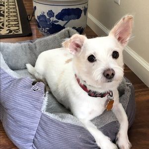 Meet your Posher, Ling